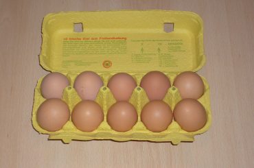 Egg Carton For Soundproofing: Does it Actually Work?